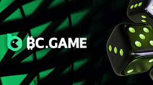 Step-by-Step Guide to BC.Game Registration Process Step-by-Step Guide to BC.Game Registration Process